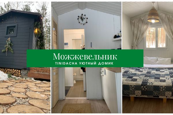 TinyDacha Можжевельник