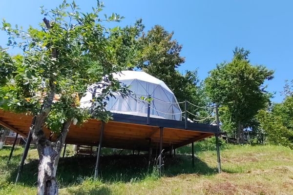Купол 