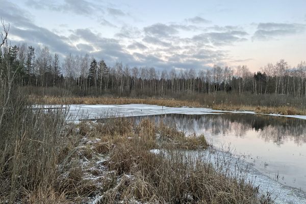 Дом Большой « На Заливе».